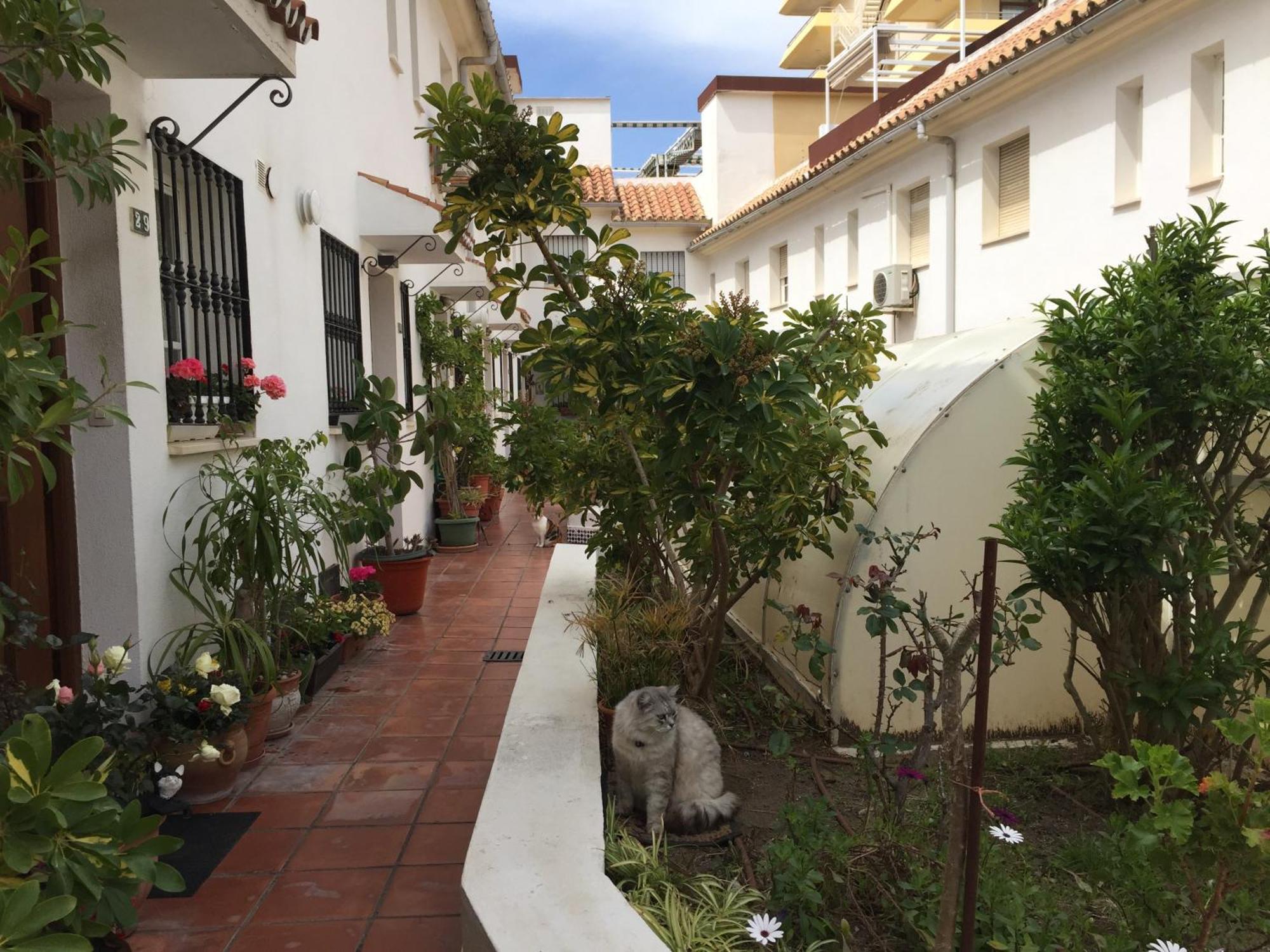 El Cortijuelo. Magnificent Triplex Terraced House With Rooftop Of 18M2, Overlooking The Sea. Parking Torremolinos Esterno foto